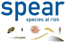 spear