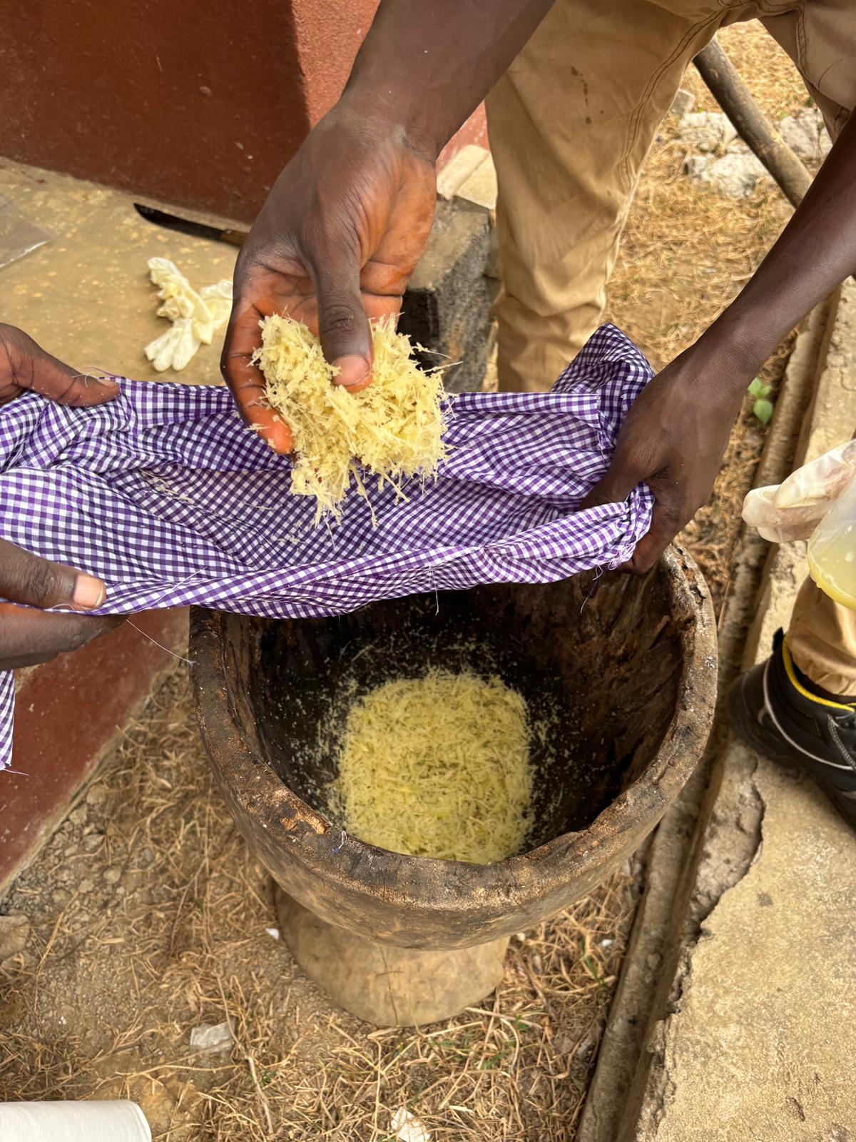 Sugarcane preparation 2