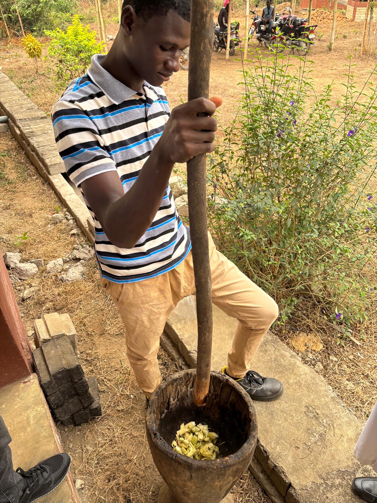 Sugarcane preparation