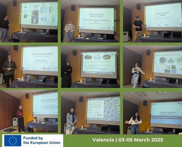QTOX Jahrestagung Valencia