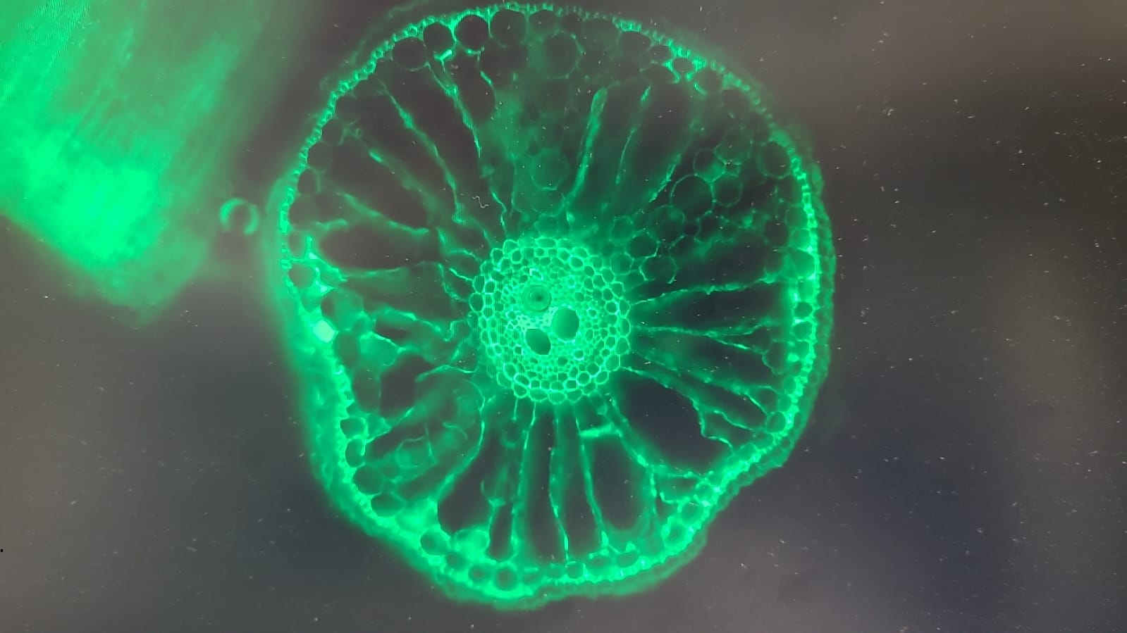 Rhizosphere course Rhizosphere course