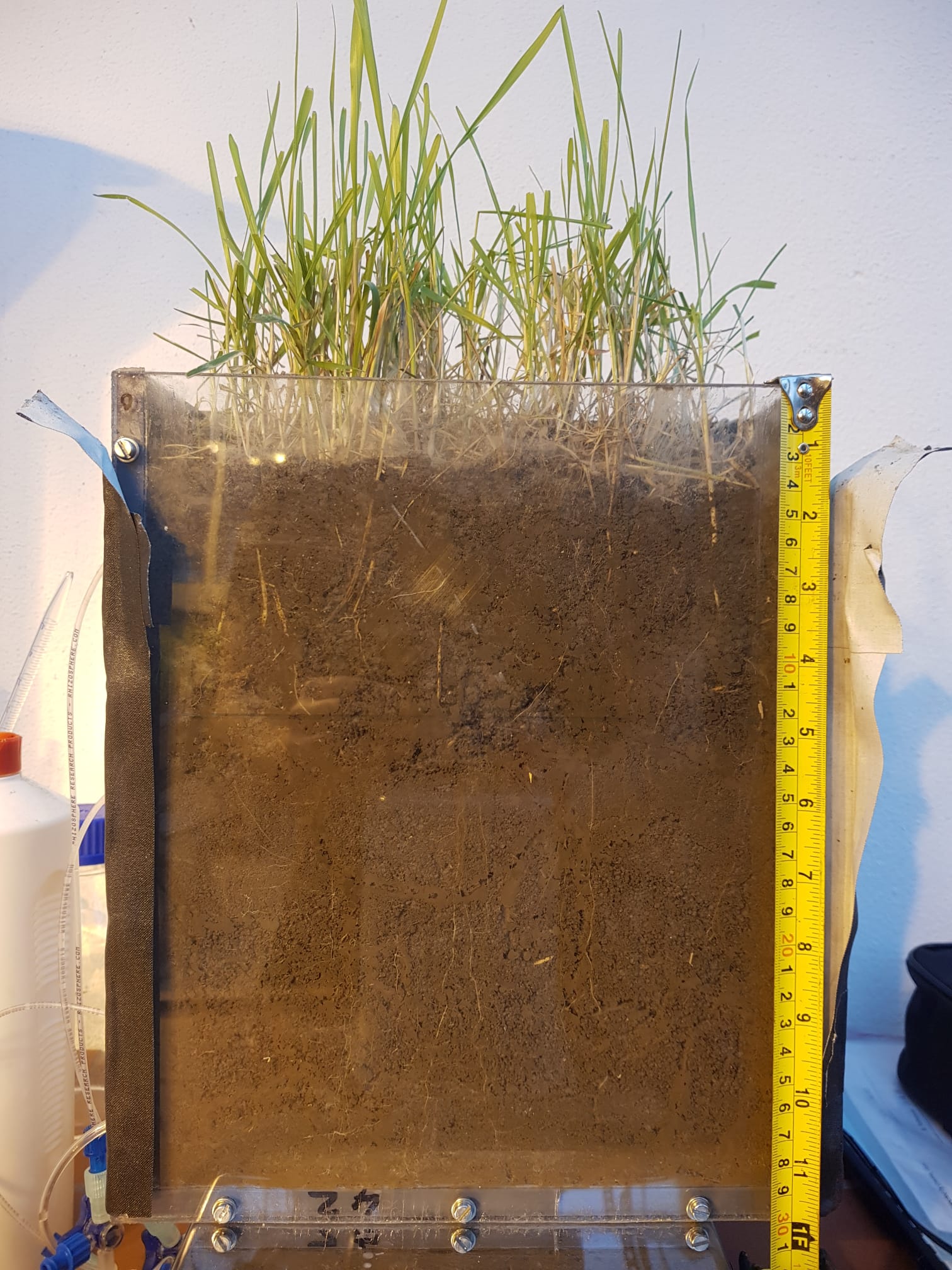 rhizobox rhizobox