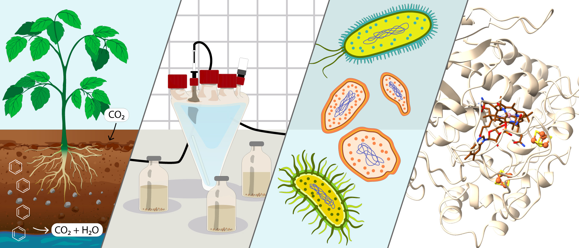Molecular Environmental Biotechnology. Graphic: Antonia Hensel Molecular Environmental Biotechnology. Graphic: Antonia Hensel