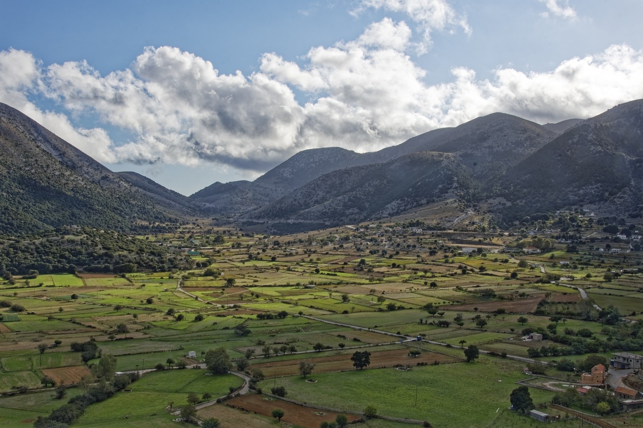 An agricultural landscape surrounded by forest