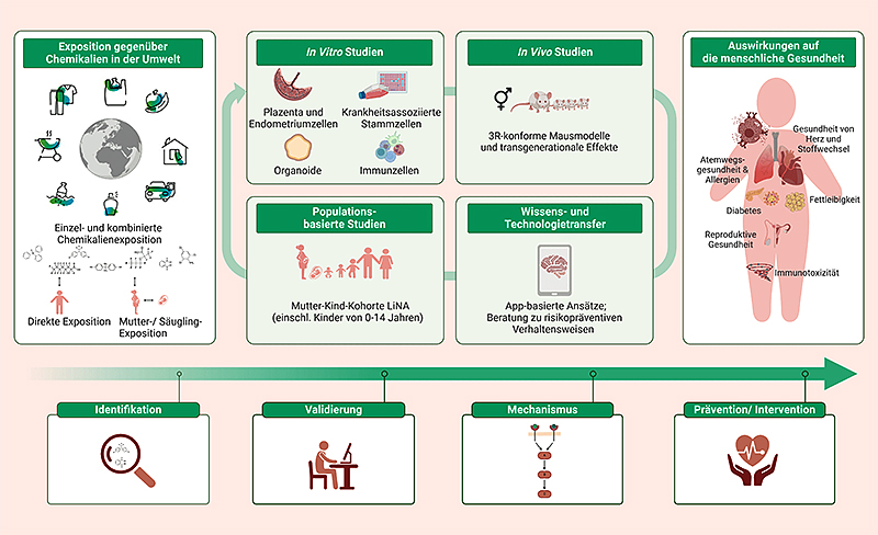 Department Umweltimmunologie