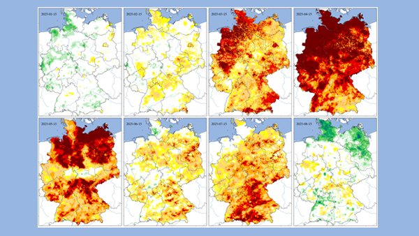 Ausschnitt-Bodenfeuchte_25cm_Datenbasis: DWD-CDC. Hintergrundkarte: BKG. Quelle: webapp.ufz.de/wis-d