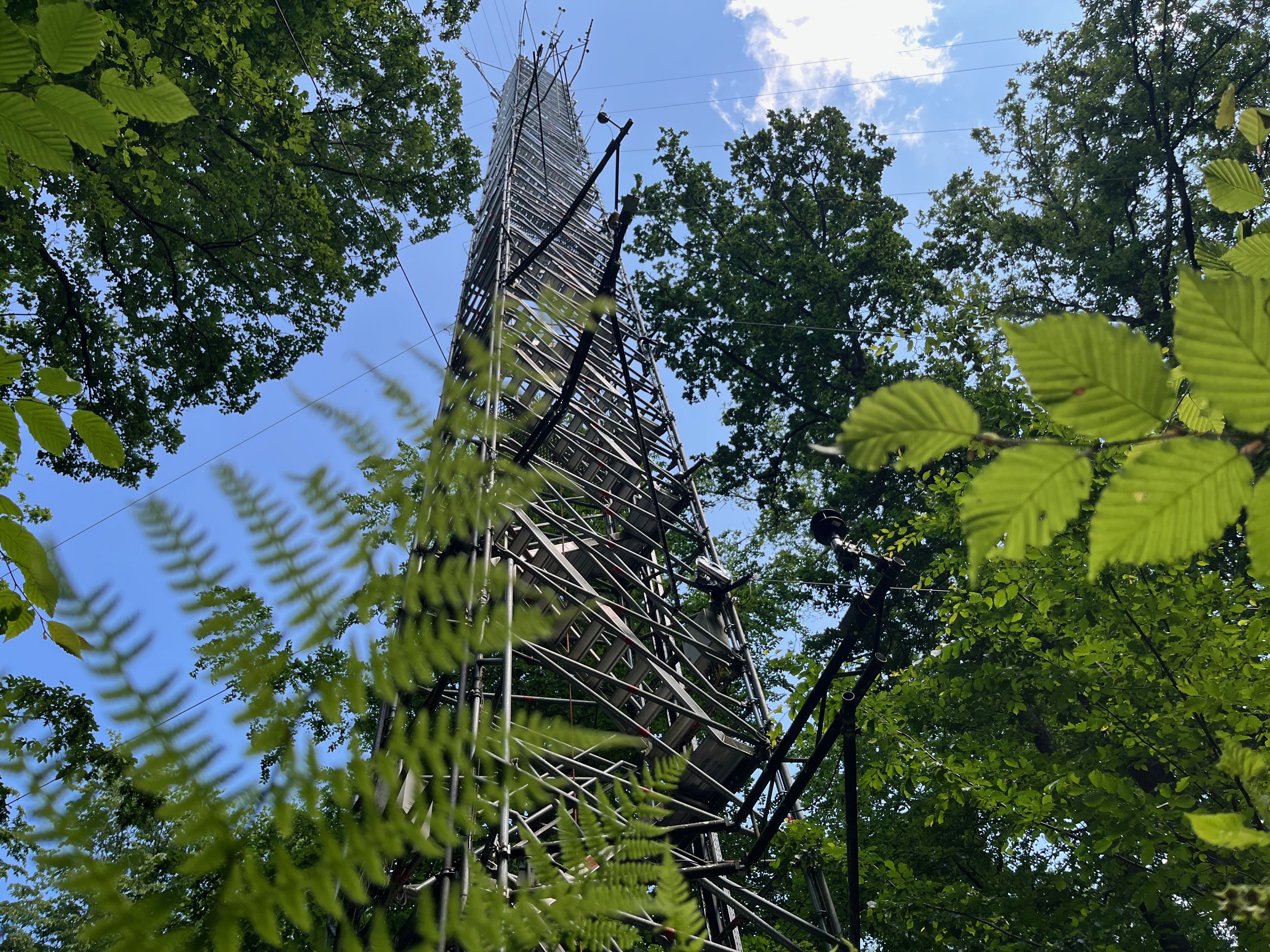 Tower Hohes Holz site / Anke Hildebrandt (UFZ)