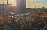 Leipzig UFZ Greenroof