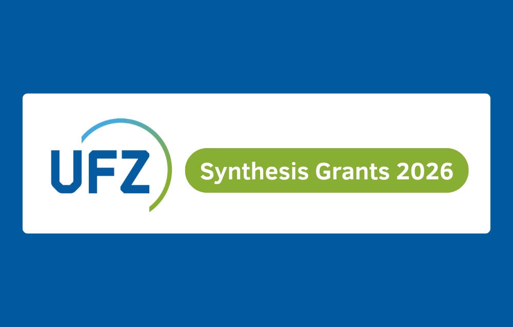 Synthesis Grants 2026