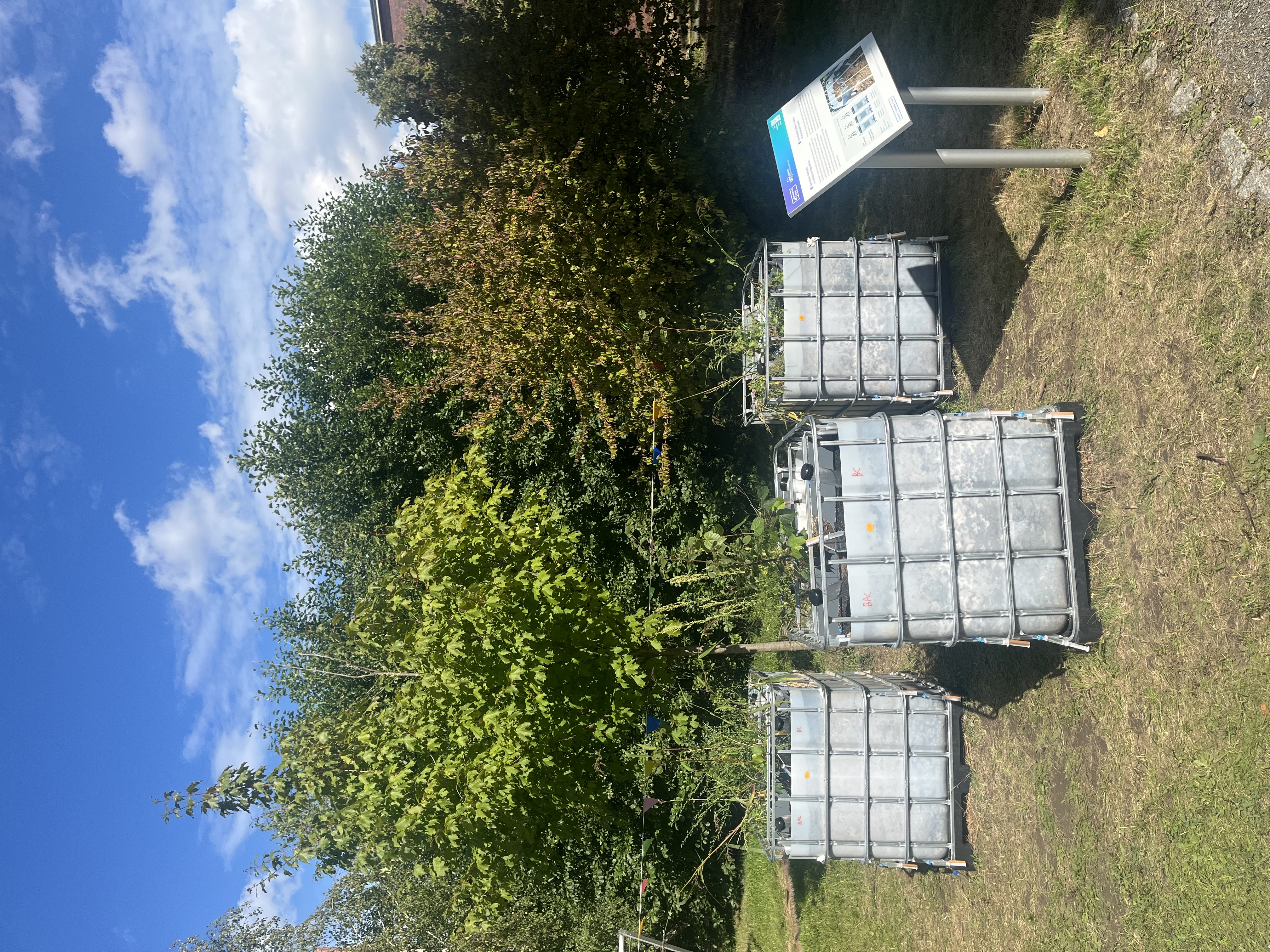 IBCs