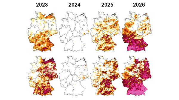 D&uuml;rreintensit&auml;ten Sommer f&uuml;r die Jahre 2023 bis 2026 im Oberboden (oben) und im Gesamtboden (unten). Quelle: UFZ-D&uuml;rremonitor