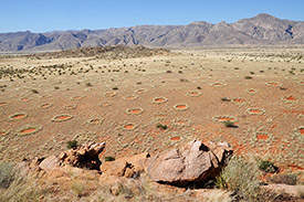 Aerial view of the mysterious fairy circles of Namibia. Photo: Dr. Stephan Getzin/UFZ Aerial view of the mysterious fairy circles of Namibia. Photo: Dr. Stephan Getzin/UFZ