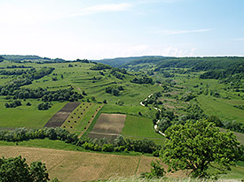 The agriculture in Transylvania (Romania) is still largely traditional but in change. Photo: Tibor Hartel/Sapientia Hungarian University of Transylvania, Cluj-Napoca, Romania