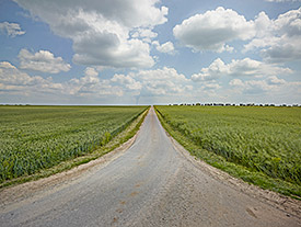 Intensive agriculture in the area of Querfurt Plate, Germany. Photo: André Künzelmann/UFZ