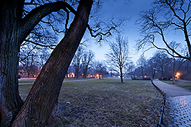 Nächtlicher Johanna-Park in Leipzig. Foto: André Künzelmann/UFZ