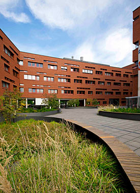 Ab kommenden Herbst wird iDiv für die ersten Jahre in die BIO CITY LEIPZIG einziehen. BIO CITY LEIPZIG
