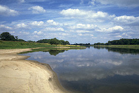 Die Elbe bei Breitenhagen/Saalemündung. Die Elbe bei Breitenhagen/Saalemündung.