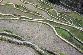 Reisterrassen in Banaue, Nord-Luzon, Philippinen.