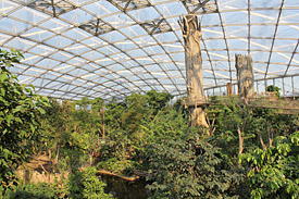 Die Tropenerlebniswelt Gondwanaland im Zoo Leipzig