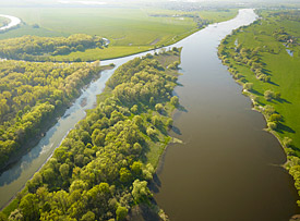 Mouth of the river Saale into the Elbe