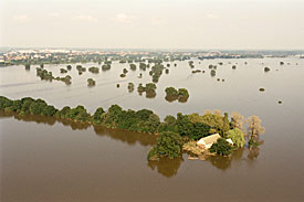 Hochwasser August 2002. Überschwemmte Elbwiesen in der Nähe von Wörlitz.
