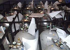 Stainless steel flasks from the Cape Grim Air Archive in Australia