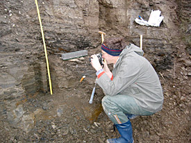 Präparation eines Sedimentkerns aus dem Eem