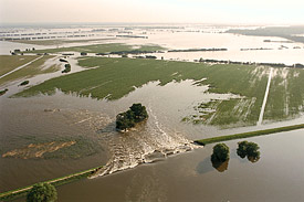 Augusthochwasser 2002 an der Elbe - Dammbruch