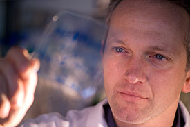 Dr. Martin von Bergen, UFZ in seinem Labor Dr. Martin von Bergen, UFZ in seinem Labor
