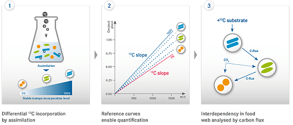 Method of Stable Isotope Probing (SIP)