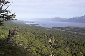 Die Insel Navarino war einst Heimat der Yagan-Indianer Insel Navarino, Südchile