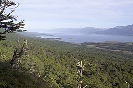 Insel Navarino, Südchile