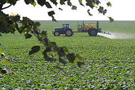 Traktor auf Feld sprüht Pestizide