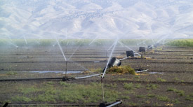 Bewässerung im Jordantal mit Wasser aus dem Jordan Bewässerung im Jordantal mit Wasser aus dem Jordan