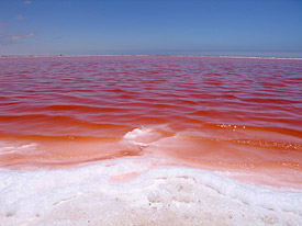 Salt lake in Namibia