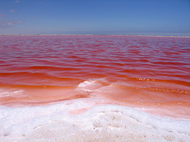 Saltzsee in Namibia