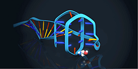 3-D-Modell des Ethanolamin-Aptamers 3-D-Modell des Ethanolamin-Aptamers