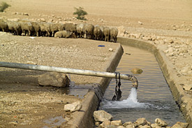 Knappes Gut Trinkwasser