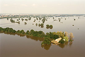 Hochwasser August 2002. Überschwemmte Elbwiesen in der Nähe von Wörlitz. Hochwasser August 2002. Überschwemmte Elbwiesen in der Nähe von Wörlitz.