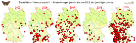 Karte: Distelfalterbeobachtungen in Deutschland
