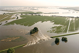 Dammbruch an der Elbe, Hochwasser 2002