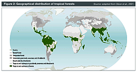 Geographical distribution of tropical forests Geographical distribution of tropical forests