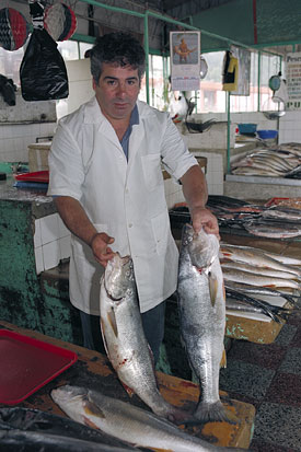 fish stall