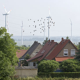 Windkraftanlagen Vögel