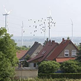Windkraftanlagen und Vögel Windkraftanlagen Vögel