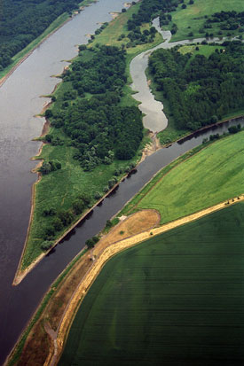 Die Saale mündet in die Elbe