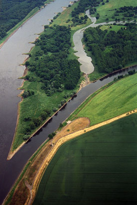 Die Saale mündet in die Elbe Die Saale mündet in die Elbe