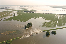 Elbehochwasser August 2002 Elbehochwasser August 2002