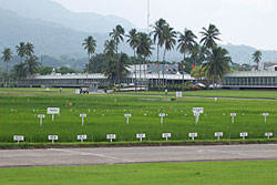 Das internationale Reisforschungsinstitut IRRI