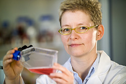 Dr. Kristin Schirmer Dr. Kristin Schirmer